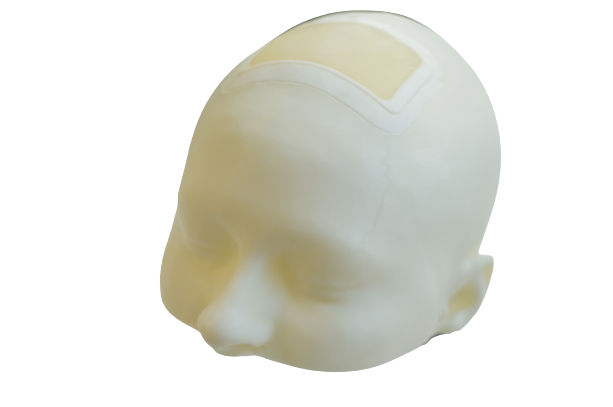 Simulateur neurochirurgie imprimé en 3D
