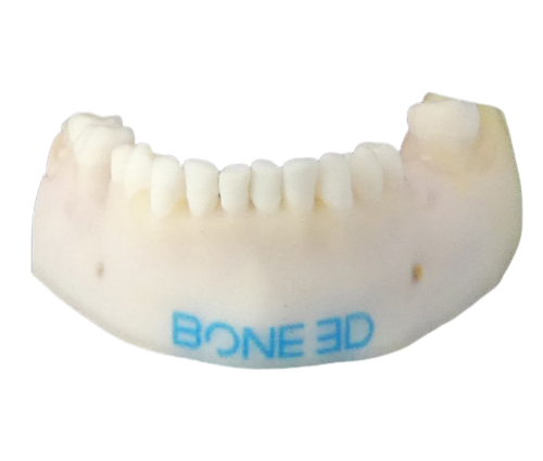 Simulateur chirurgie orale imprimé en 3D