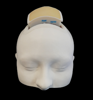 Simulateur imprimé en 3D pour la formation des neurochirurgiens vue face