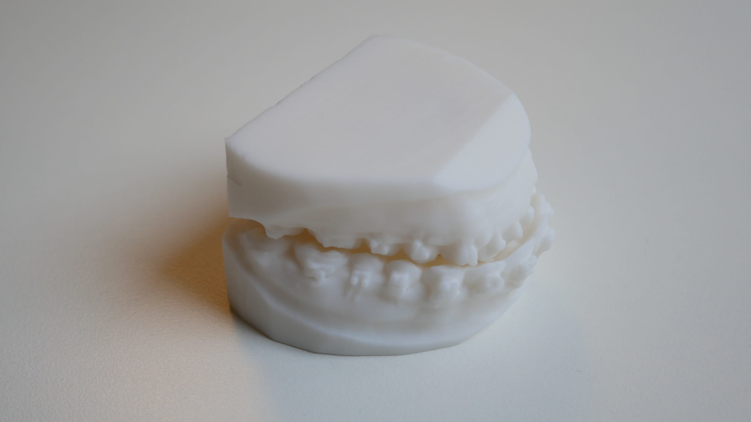 3D printed maxillofacial anatomy