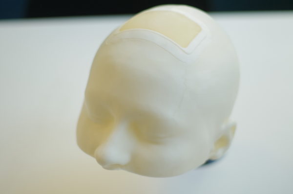 Neurosurgery simulator 3D printed