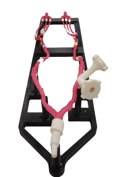 Simulateur de chirurgie endovasculaire imprimé en 3D