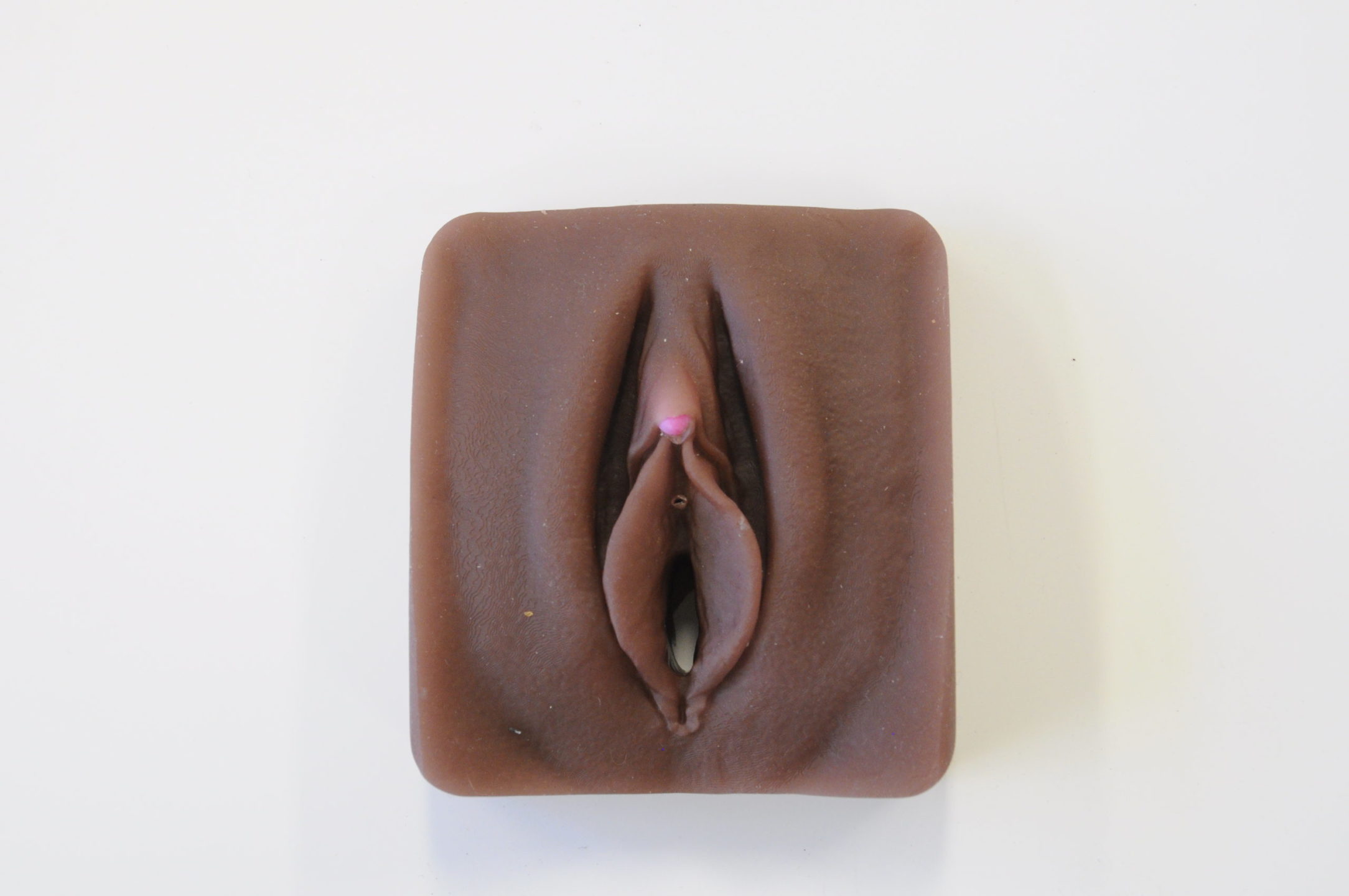 Modèle anatomique de vulve avec clitoris imprimé en 3D